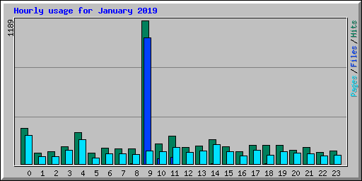 Hourly usage for January 2019