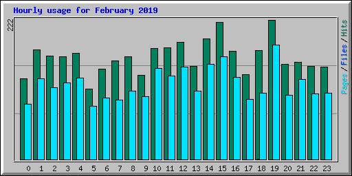 Hourly usage for February 2019