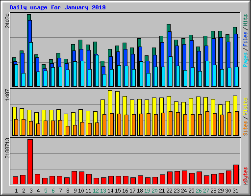 Daily usage for January 2019