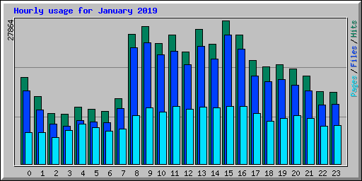 Hourly usage for January 2019